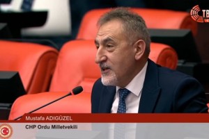 Fındık Üreticisi CİMER’i Kilitledi, Devlet 'Kopyala-Yapıştır' Cevap Veriyor